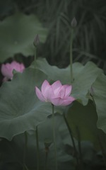 1000018034