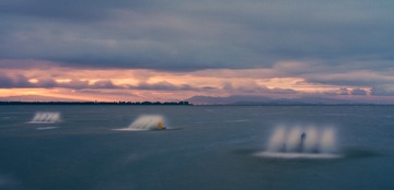 1000020617