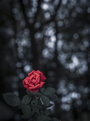 1000017189
