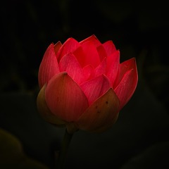 1000003562