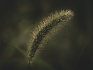 1000017898