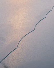 1000009558