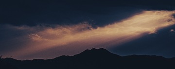 1000014421