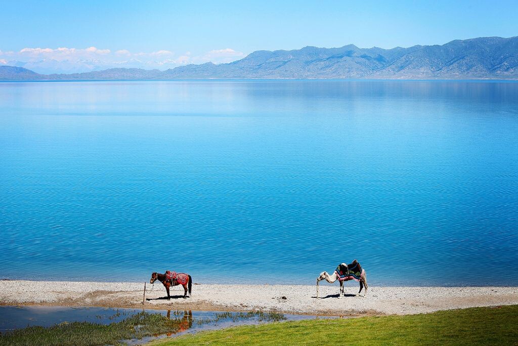 赛里木的蓝<br />
新疆赛里木湖，古称净海。蓝的不含一点杂质。
