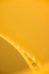 1000043281