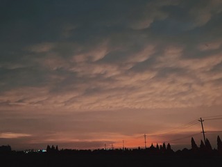 F798F46A-94C3-4856-AF9D-C748B435AFDB/L0/001