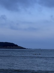 90410D3B-AE35-445F-A9F1-86EB005E9F0C/L0/001