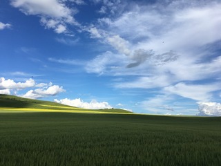 0D659D91-19A4-4AD7-B7BF-9E91A1000B47/L0/001