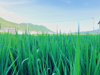 7863DD6D-5AC8-4330-B5C3-E71C7F1505E2/L0/001