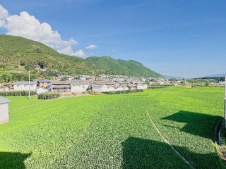 D17A1F79-2C6B-4877-B552-ED8D8C70D5AC/L0/001