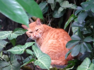 DSC03040.JPG
