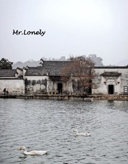 DSC03212副本13.jpg