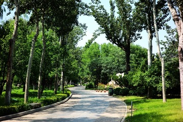 21A88231-0C08-4F60-A5FE-D23808ED2A28/L0/001