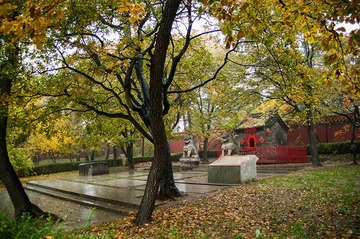 D9CU7732.jpg