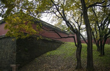 D9CU7737.jpg