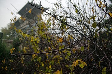 D9CU7744.jpg