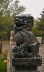D9CU7750.jpg