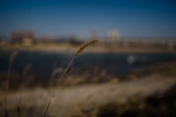 A895E8B8-6D97-4781-A298-5970E4EFFA94/L0/001