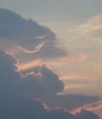 9CB7C6DA-C03B-4549-AB19-876BDDBBF869/L0/001