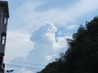 2396221
