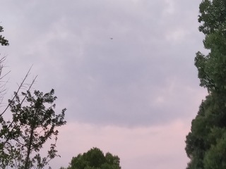 2397465