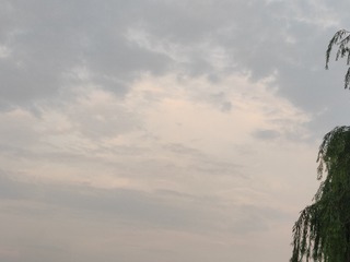 2397463
