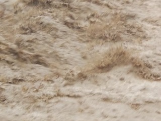1000004501