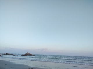 1000004815