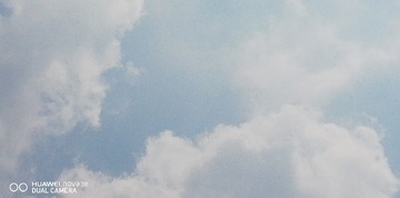 2560806