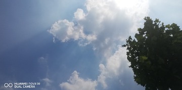 2560813
