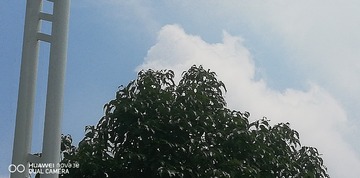 2560808
