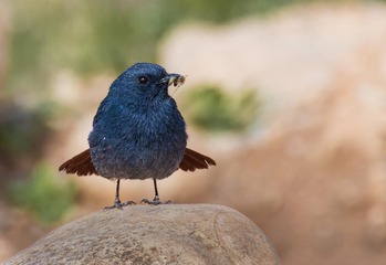 5924
