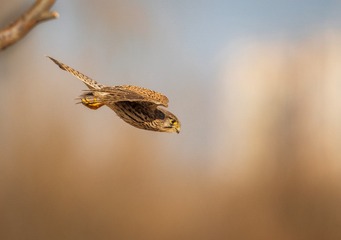 4714