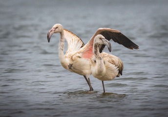 4830
