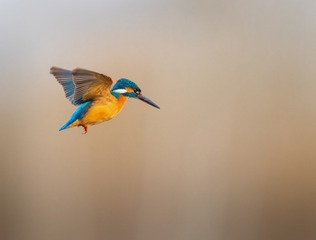 6795