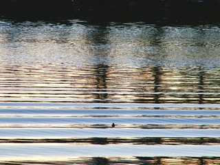 95F32184-E79A-4CA3-B3CA-CE441C2E2332/L0/001