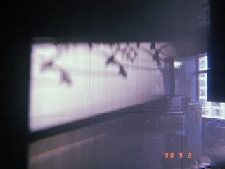 809EB45B-DA56-4C03-A94E-A8828FDBBEA9/L0/001