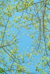 0EBB89FC-B6C2-4A03-B0AF-95BAF9F24B9F/L0/001