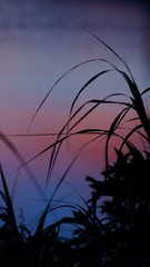 D29B82C7-6D85-49EC-865A-E1BB6E97E347/L0/001