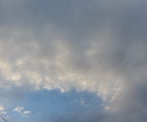 2429