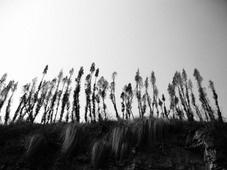 IMG_7615