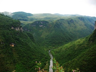 IMG_0843