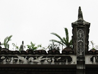 IMG_0654