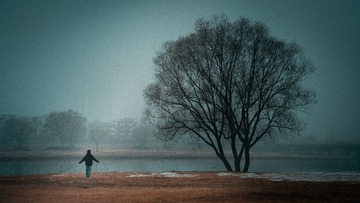 118785