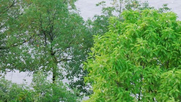87B817BB-1C04-4D12-AEAE-E83BD5C942F9/L0/001
