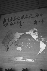 23251