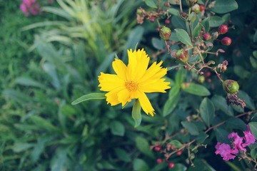 IMG_0248.jpg
