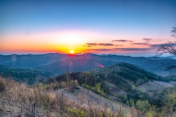 _DSC9524