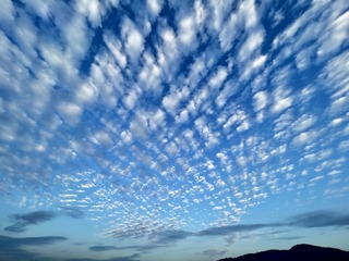 95C97B78-B552-4163-BE22-1A3E23EA26CB/L0/001