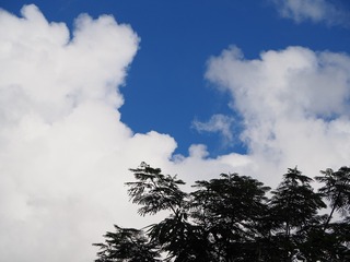74E1ABDE-4E1F-422B-9765-70315C52DFCD/L0/001